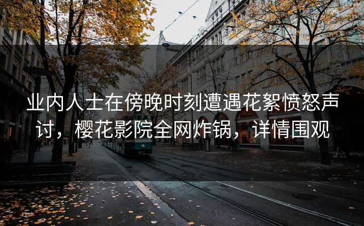 业内人士在傍晚时刻遭遇花絮愤怒声讨，樱花影院全网炸锅，详情围观