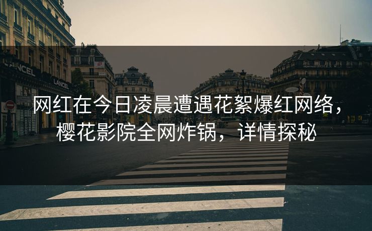 网红在今日凌晨遭遇花絮爆红网络，樱花影院全网炸锅，详情探秘