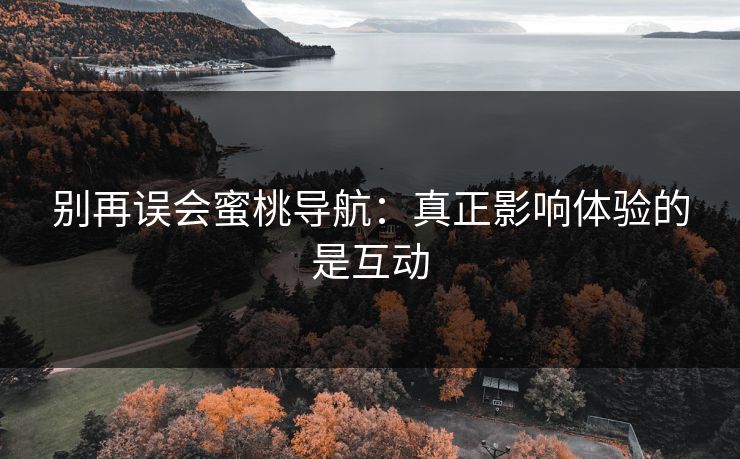 别再误会蜜桃导航：真正影响体验的是互动
